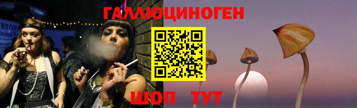 Киселёвск  Галлюциногенные грибы Psilocybe  Вход с VPN 